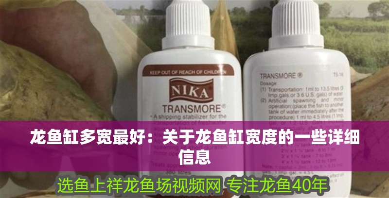 龍魚缸多寬最好：關于龍魚缸寬度的一些詳細信息