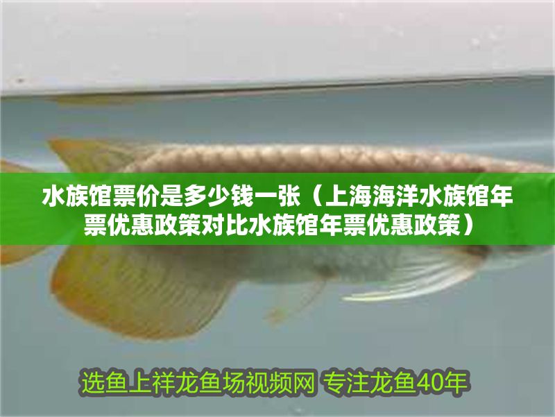 水族館票價(jià)是多少錢一張（上海海洋水族館年票優(yōu)惠政策對比水族館年票優(yōu)惠政策）