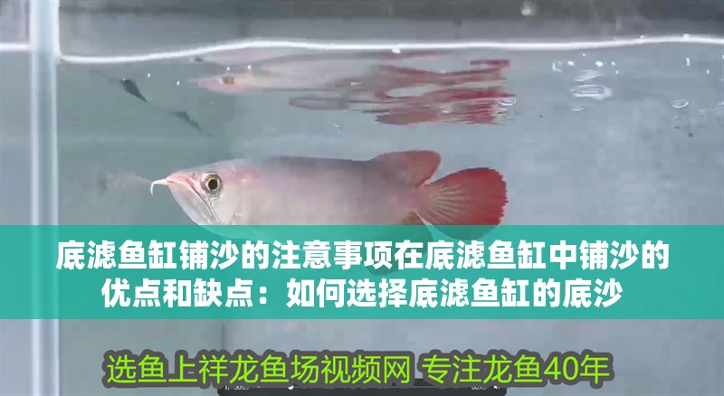 底濾魚缸鋪沙的注意事項在底濾魚缸中鋪沙的優點和缺點：如何選擇底濾魚缸的底沙