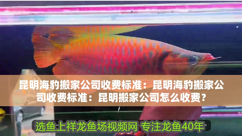 昆明海豹搬家公司收費標準：昆明海豹搬家公司收費標準：昆明搬家公司怎么收費？ 昆明海豹搬家公司收費標準：昆明海豹搬家公司收費標準：昆明搬家公司怎么收費？ 魚缸百科