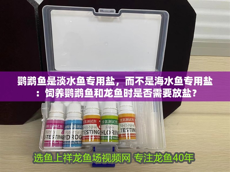 鸚鵡魚是淡水魚專用鹽，而不是海水魚專用鹽：飼養鸚鵡魚和龍魚時是否需要放鹽？