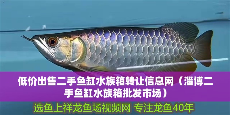 低價出售二手魚缸水族箱轉(zhuǎn)讓信息網(wǎng)（淄博二手魚缸水族箱批發(fā)市場） 低價出售二手魚缸水族箱轉(zhuǎn)讓信息網(wǎng)（淄博二手魚缸水族箱批發(fā)市場） 魚缸百科