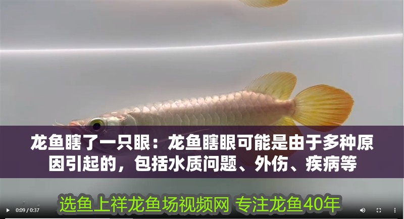 龍魚瞎了一只眼：龍魚瞎眼可能是由于多種原因引起的，包括水質問題、外傷、疾病等