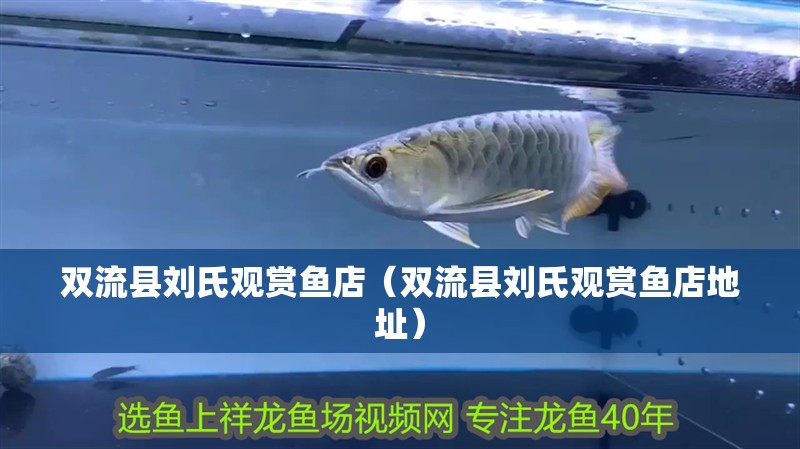 雙流縣劉氏觀賞魚店（雙流縣劉氏觀賞魚店地址）