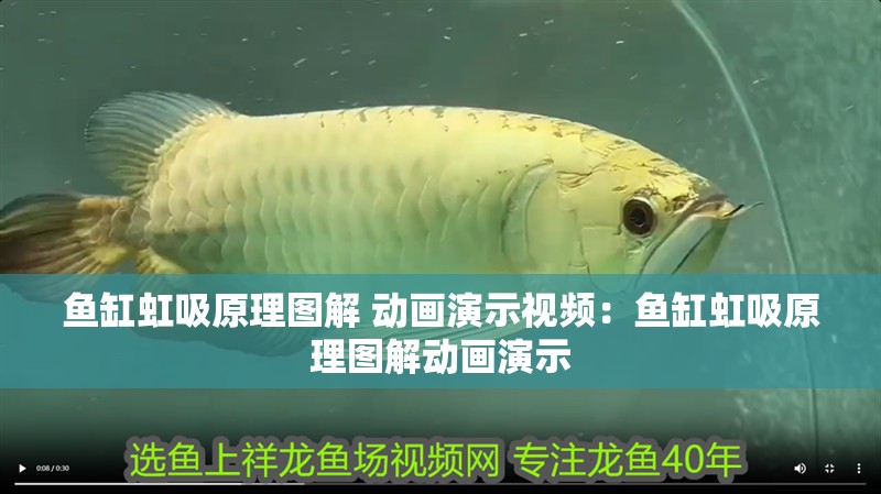 魚缸虹吸原理圖解 動畫演示視頻：魚缸虹吸原理圖解動畫演示
