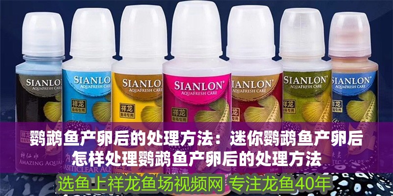 魚缸過濾器選購指南:自制魚缸過濾器魚缸上置過濾器對于養魚愛好者的必備知識 鸚鵡魚產卵后的處理方法:迷你鸚鵡魚產卵后怎樣處理鸚鵡魚產卵后的處理方法 魚缸百科 鸚鵡魚產卵后的處理方法:迷你鸚鵡魚產卵后怎樣處理鸚鵡魚產卵后的處理方法 鸚鵡魚產卵后的處理方法:迷你鸚鵡魚產卵后怎樣處理鸚鵡魚產卵后的處理方法 魚缸百科