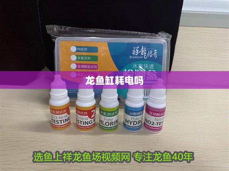 龍魚缸耗電嗎 龍魚缸耗電嗎 龍魚百科