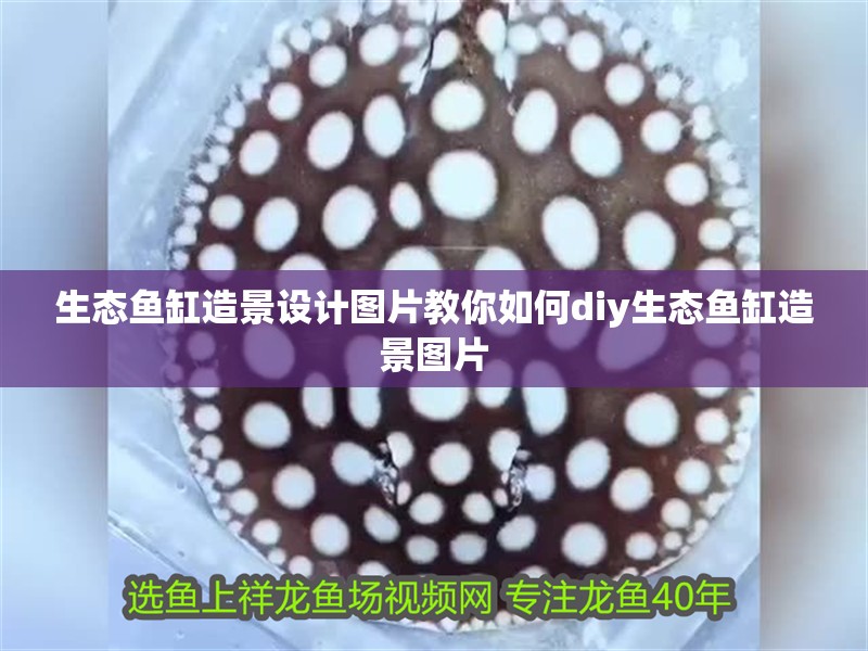 生態魚缸造景設計圖片教你如何diy生態魚缸造景圖片