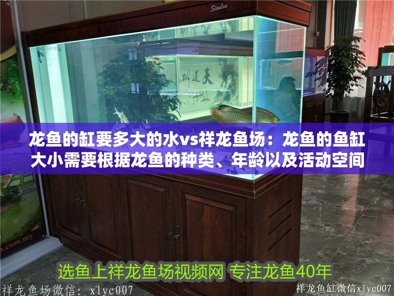 龍魚的缸要多大的水vs祥龍魚場：龍魚的魚缸大小需要根據龍魚的種類、年齡以及活動空間決定