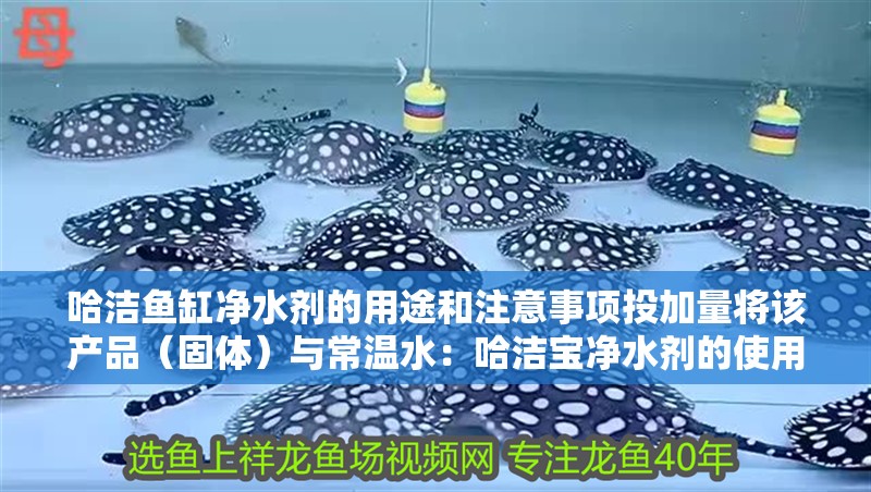 哈潔魚缸凈水劑的用途和注意事項(xiàng)投加量將該產(chǎn)品（固體）與常溫水：哈潔寶凈水劑的使用和注意事項(xiàng)