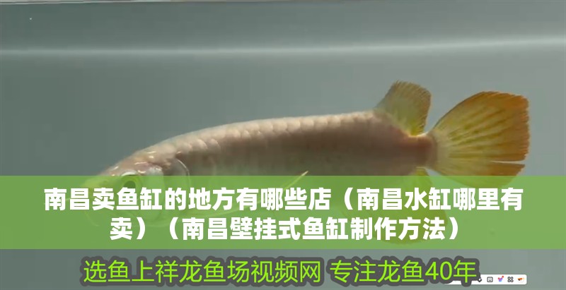 <strong><mark>南昌</mark></strong>賣魚缸的地方有哪些店（<strong><mark>南昌</mark></strong>水缸哪里有賣）（<strong><mark>南昌</mark></strong>壁掛式魚缸制作方法）