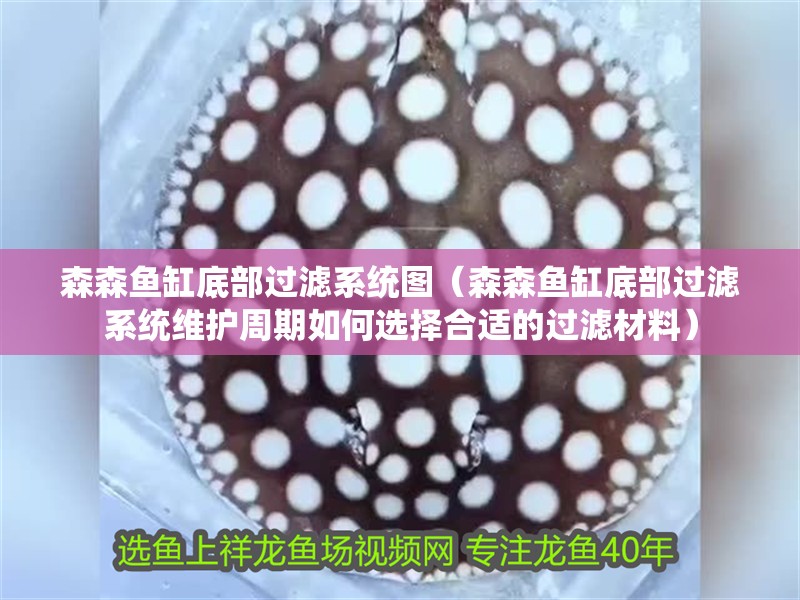 森森魚(yú)缸底部過(guò)濾系統(tǒng)圖（森森魚(yú)缸底部過(guò)濾系統(tǒng)維護(hù)周期如何選擇合適的過(guò)濾材料）