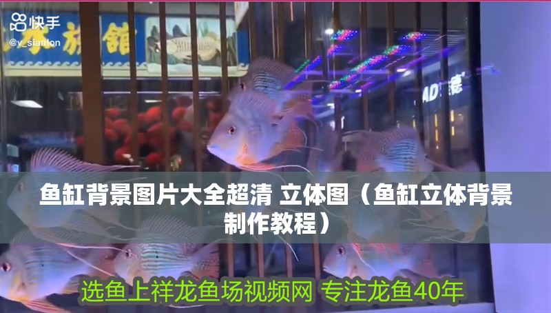 魚缸背景圖片大全超清 立體圖（魚缸立體背景制作教程）