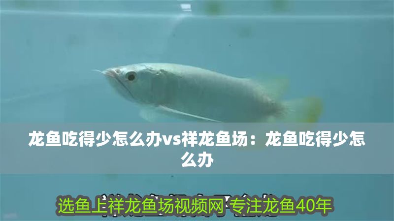 龍魚吃得少怎么辦vs祥龍魚場：龍魚吃得少怎么辦