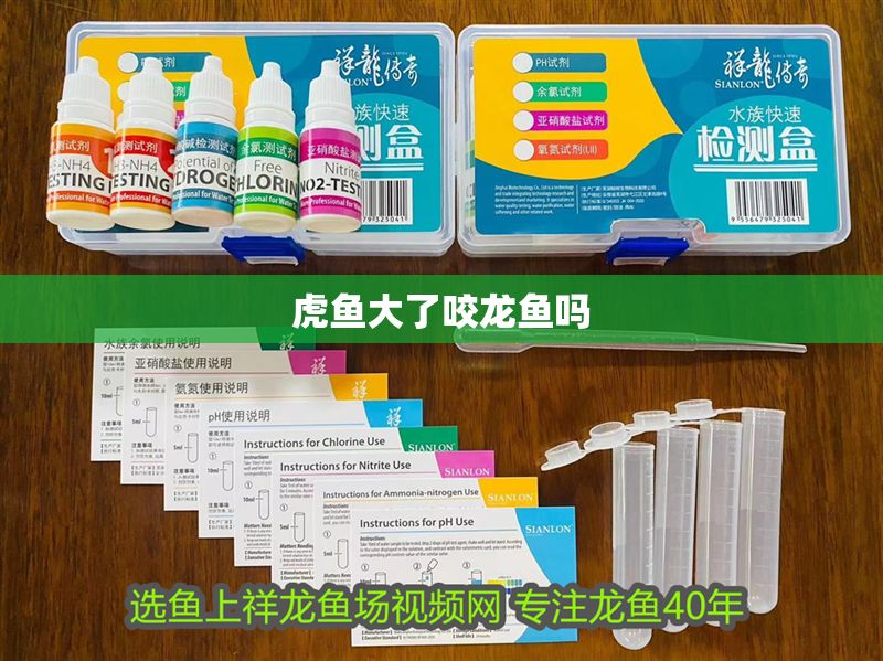 虎魚大了咬龍魚嗎