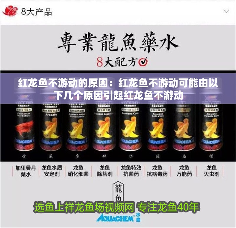 紅龍魚不游動的原因：紅龍魚不游動可能由以下幾個原因引起紅龍魚不游動