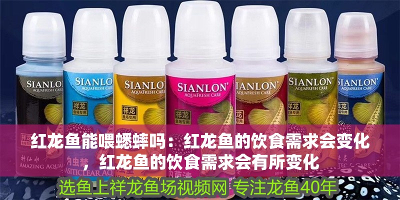 紅龍魚能喂蟋蟀嗎：紅龍魚的飲食需求會變化，紅龍魚的飲食需求會有所變化