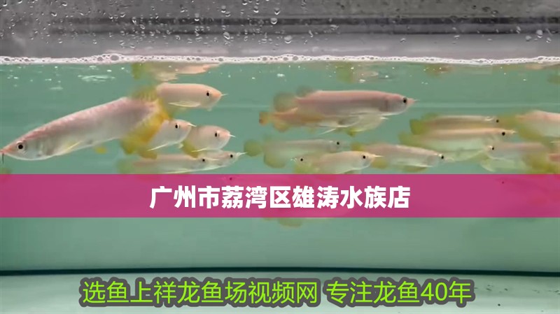 廣州市荔灣區(qū)雄濤水族店 廣州市荔灣區(qū)雄濤水族店 全國水族館企業(yè)名錄