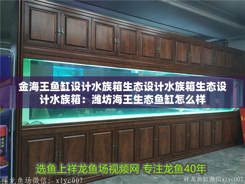 金海王魚缸設(shè)計水族箱生態(tài)設(shè)計水族箱生態(tài)設(shè)計水族箱：濰坊海王生態(tài)魚缸怎么樣