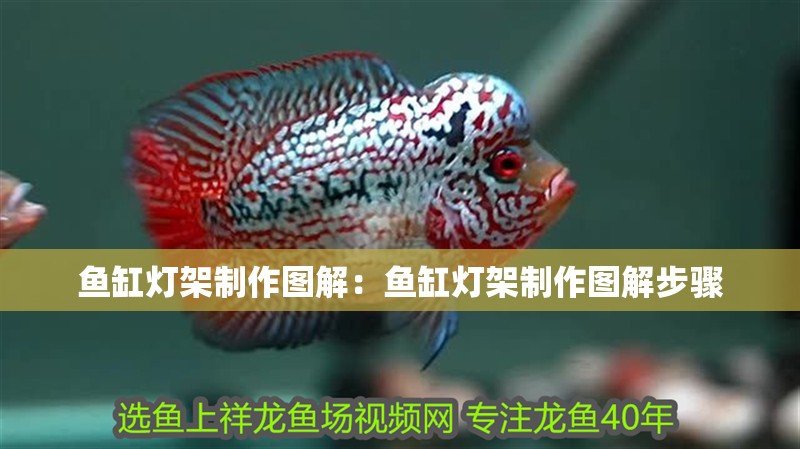 魚缸燈架制作圖解：魚缸燈架制作圖解步驟 魚缸燈架制作圖解：魚缸燈架制作圖解步驟 魚缸百科