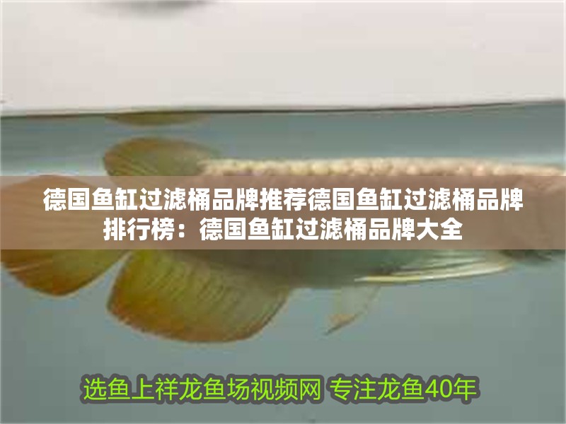 德國魚缸過濾桶品牌推薦德國魚缸過濾桶品牌排行榜：德國魚缸過濾桶品牌大全