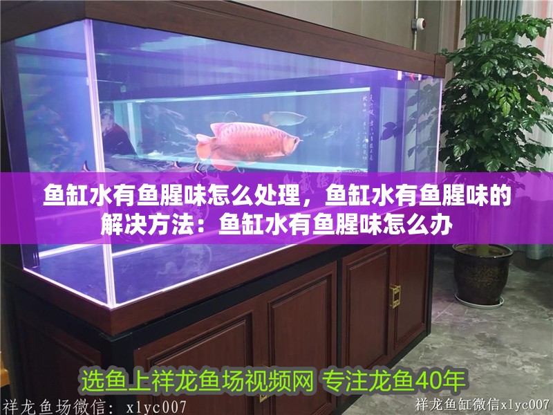 魚缸水有魚腥味怎么處理，魚缸水有魚腥味的解決方法：魚缸水有魚腥味怎么辦