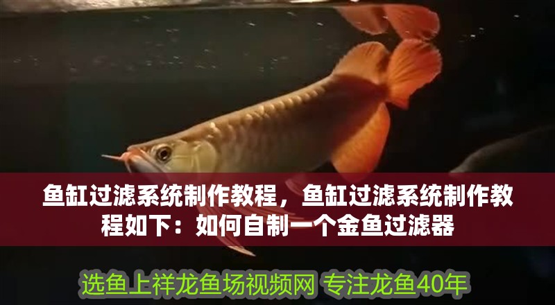 魚缸過濾系統制作教程，魚缸過濾系統制作教程如下：如何自制一個金魚過濾器
