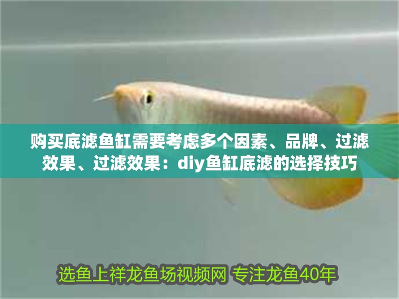 購(gòu)買底濾魚缸需要考慮多個(gè)因素、品牌、過濾效果、過濾效果：diy魚缸底濾的選擇技巧