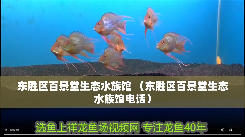 東勝區(qū)百景堂生態(tài)水族館 （東勝區(qū)百景堂生態(tài)水族館電話）