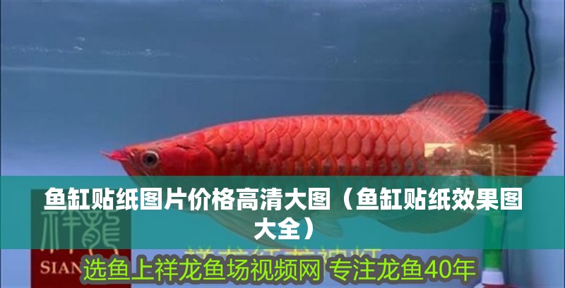 魚缸貼紙圖片價格高清大圖（魚缸貼紙效果圖大全）