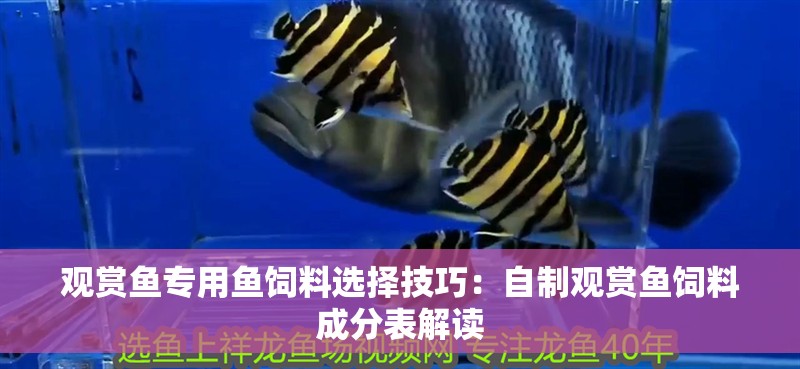 觀賞魚專用魚飼料選擇技巧：自制觀賞魚飼料成分表解讀
