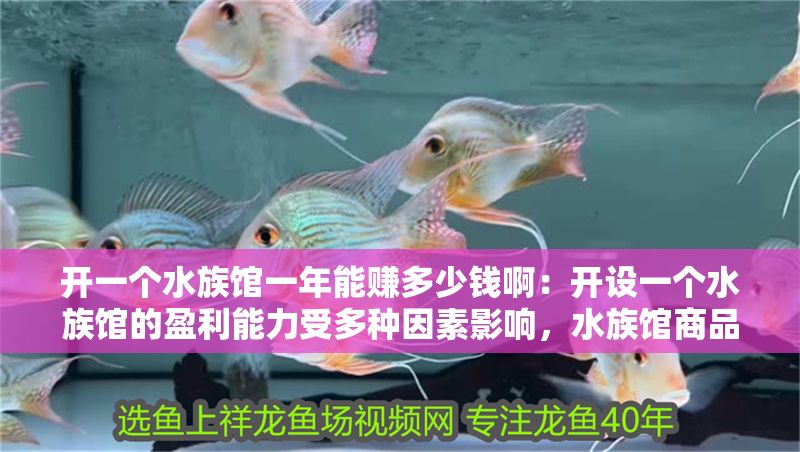 開一個水族館一年能賺多少錢?。洪_設一個水族館的盈利能力受多種因素影響，水族館商品銷售策略