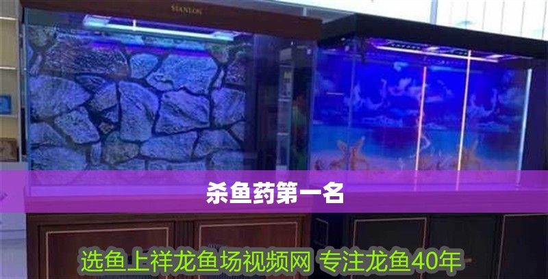 魚缸用增氧泵價格是多少:魚缸增氧機-xtrac增氧機-xtrac增氧機 殺魚藥第一名 龍魚論壇 殺魚藥第一名 殺魚藥第一名 龍魚論壇