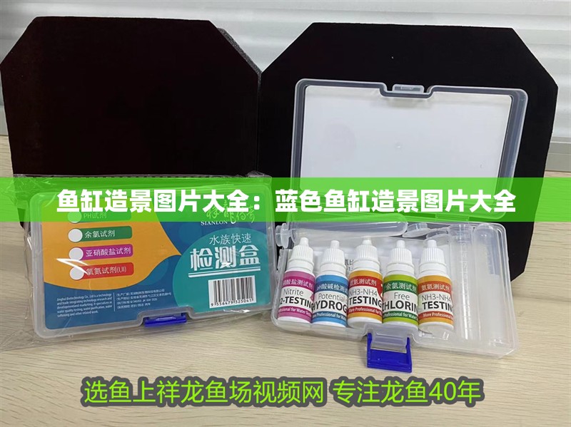 魚缸造景圖片大全：藍色魚缸造景圖片大全