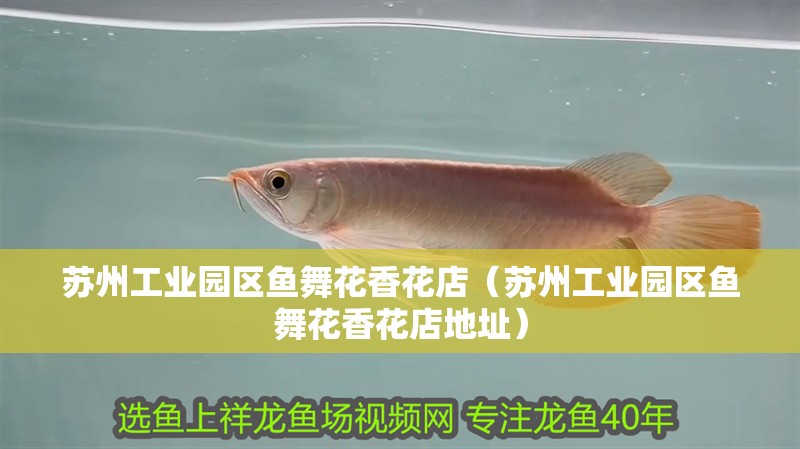 蘇州工業(yè)園區(qū)魚舞花香花店（蘇州工業(yè)園區(qū)魚舞花香花店地址） 蘇州工業(yè)園區(qū)魚舞花香花店（蘇州工業(yè)園區(qū)魚舞花香花店地址） 全國水族館企業(yè)名錄