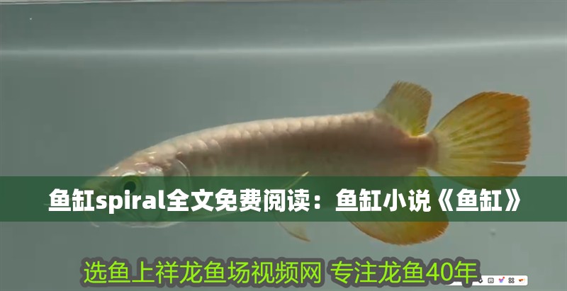 魚缸spiral全文免費(fèi)閱讀：魚缸小說(shuō)《魚缸》