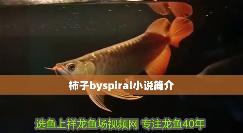 龍魚干蝦有營養嗎 柿子byspiral小說簡介 龍魚論壇 柿子byspiral小說簡介 柿子byspiral小說簡介 龍魚論壇