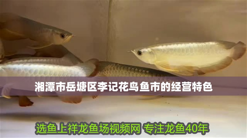 湘潭市岳塘區李記花鳥魚市的經營特色
