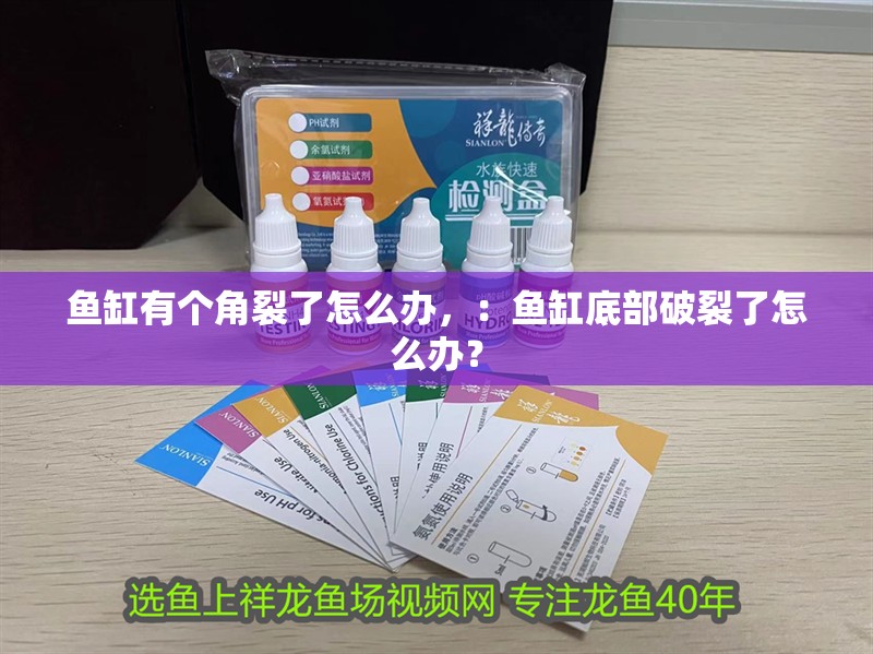 魚缸有個角裂了怎么辦，：魚缸底部破裂了怎么辦？
