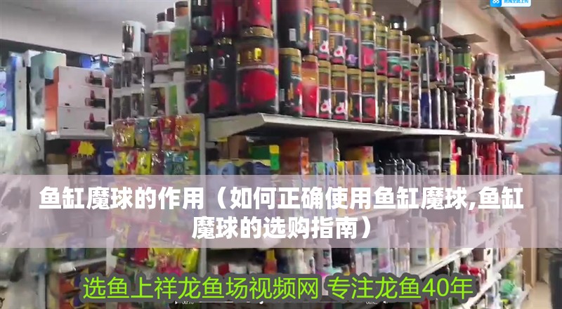 魚缸魔球的作用（如何正確使用魚缸魔球,魚缸魔球的選購指南）