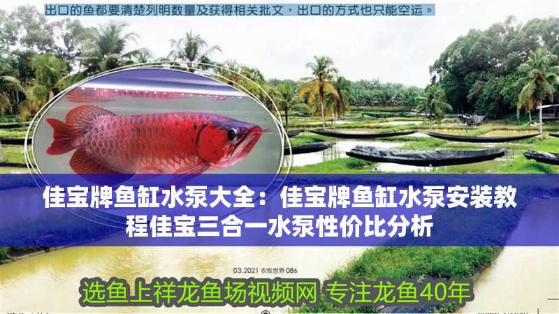 佳寶牌魚缸水泵大全：佳寶牌魚缸水泵安裝教程佳寶三合一水泵性價比分析 佳寶牌魚缸水泵大全：佳寶牌魚缸水泵安裝教程佳寶三合一水泵性價比分析 魚缸百科