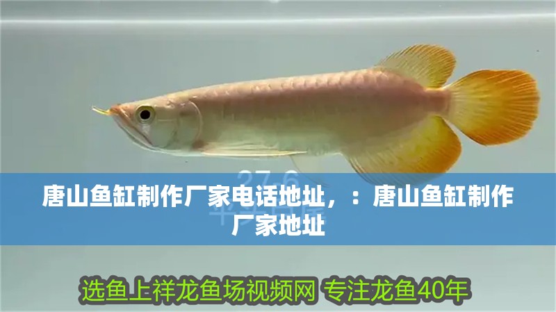 唐山魚缸制作廠家電話地址，：唐山魚缸制作廠家地址 唐山魚缸制作廠家電話地址，：唐山魚缸制作廠家地址 魚缸百科