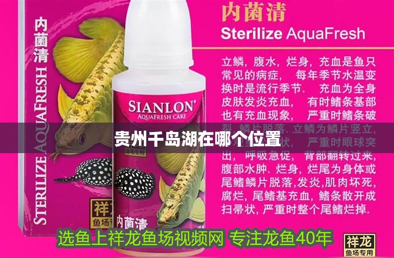 貴州千島湖在哪個位置 貴州千島湖在哪個位置 龍魚論壇
