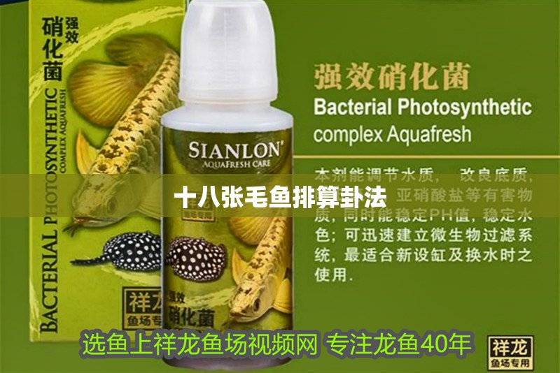 十八張毛魚排算卦法 十八張毛魚排算卦法 龍魚論壇