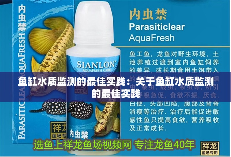 魚缸過濾器選購指南:自制魚缸過濾器魚缸上置過濾器對于養魚愛好者的必備知識 魚缸水質監測的最佳實踐:關于魚缸水質監測的最佳實踐 魚缸百科 魚缸水質監測的最佳實踐:關于魚缸水質監測的最佳實踐 魚缸水質監測的最佳實踐:關于魚缸水質監測的最佳實踐 魚缸百科