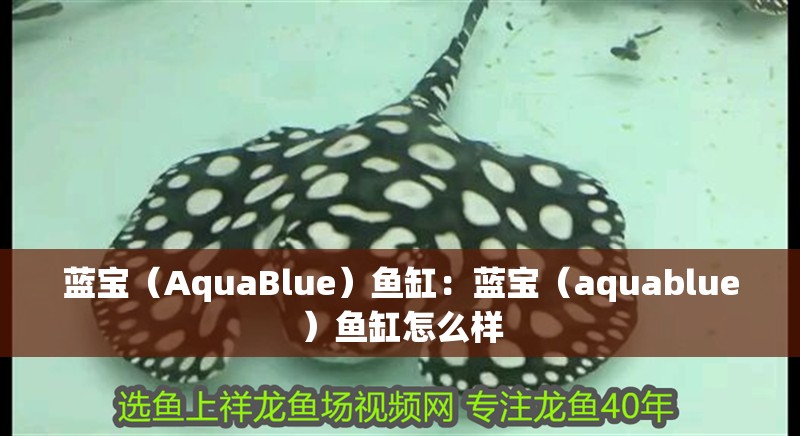 藍寶（AquaBlue）魚缸：藍寶（aquablue）魚缸怎么樣