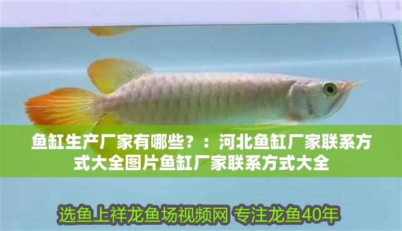 魚缸生產廠家有哪些？：河北魚缸廠家聯系方式大全圖片魚缸廠家聯系方式大全