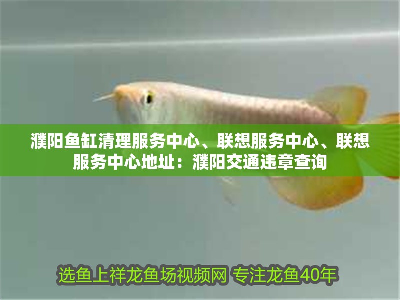 濮陽魚缸清理服務中心、聯想服務中心、聯想服務中心地址：濮陽交通違章查詢