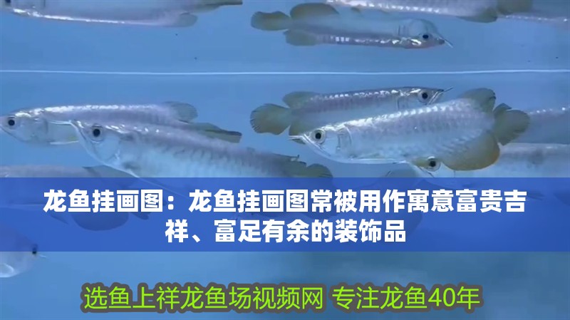 龍魚掛畫圖：龍魚掛畫圖常被用作寓意富貴吉祥、富足有余的裝飾品