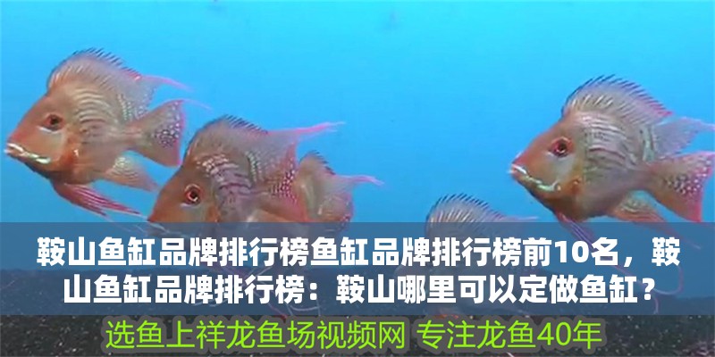 鞍山魚缸品牌排行榜魚缸品牌排行榜前10名，鞍山魚缸品牌排行榜：鞍山哪里可以定做魚缸？